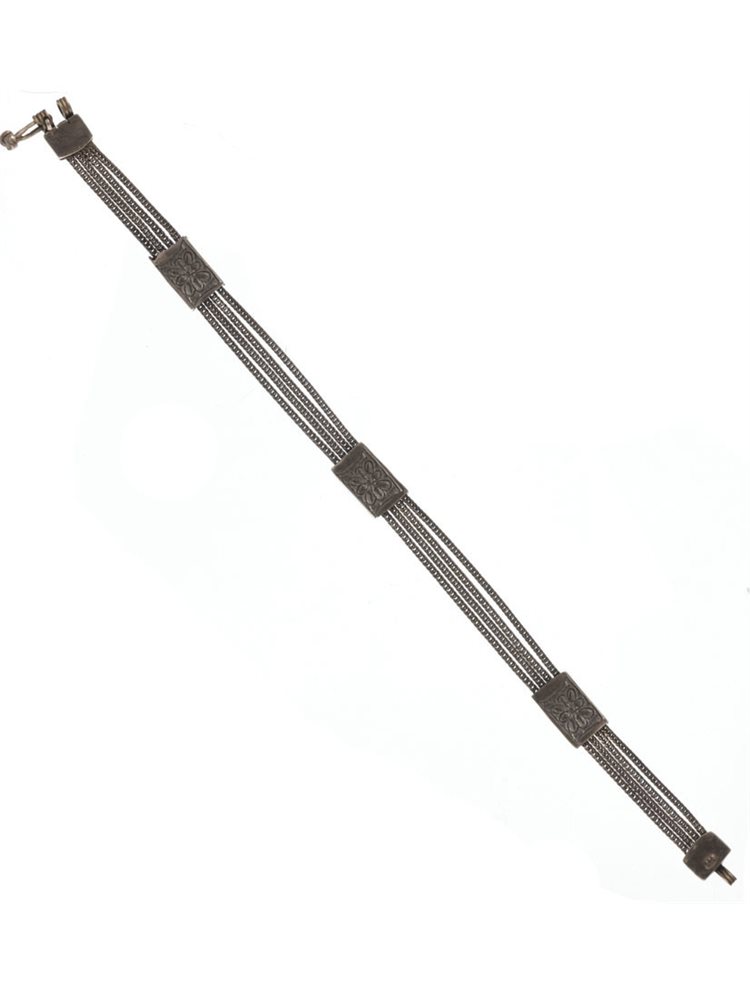 Paraxenies