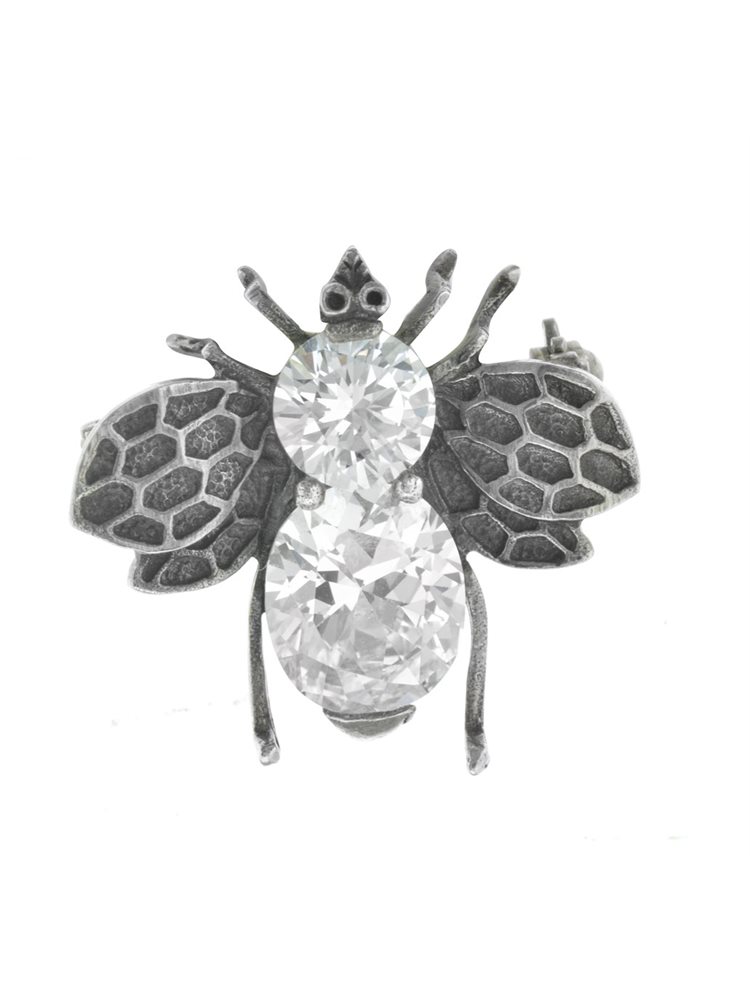 Paraxenies