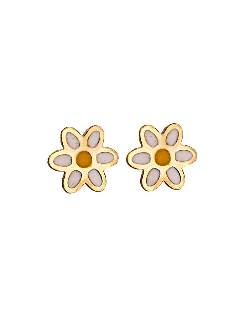 Paraxenies