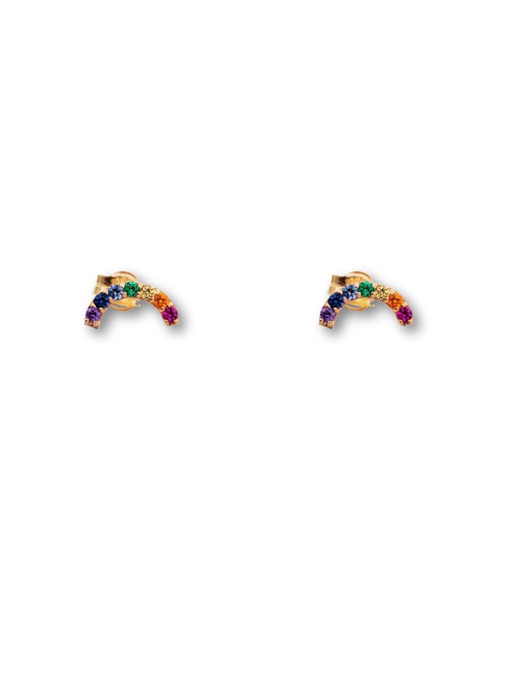 Paraxenies