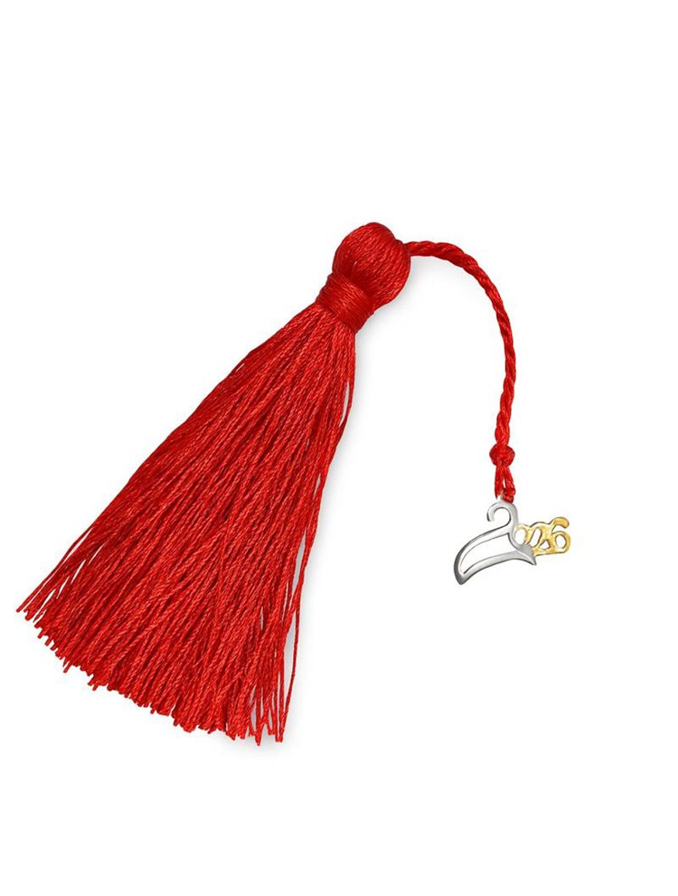 Γούρι για το 2026 από ασήμι 925 και εντυπωσιακή φούντα