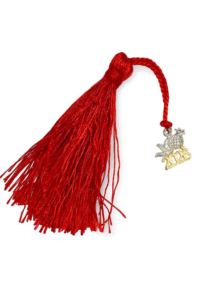 Γούρι για το 2026 από ασήμι 925 με και εντυπωσιακή φούντα